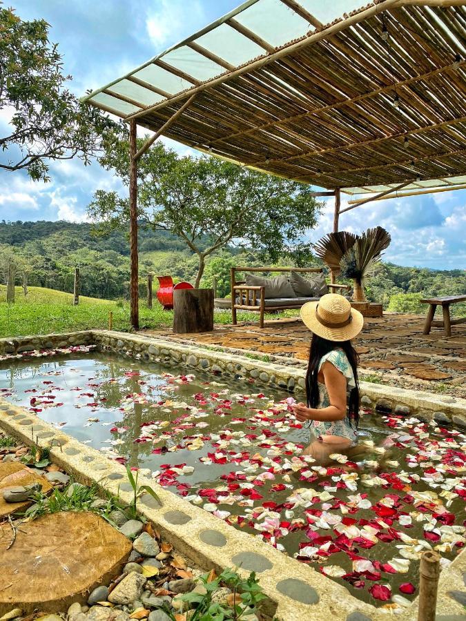 Efren Ecohotel Calima Exteriér fotografie