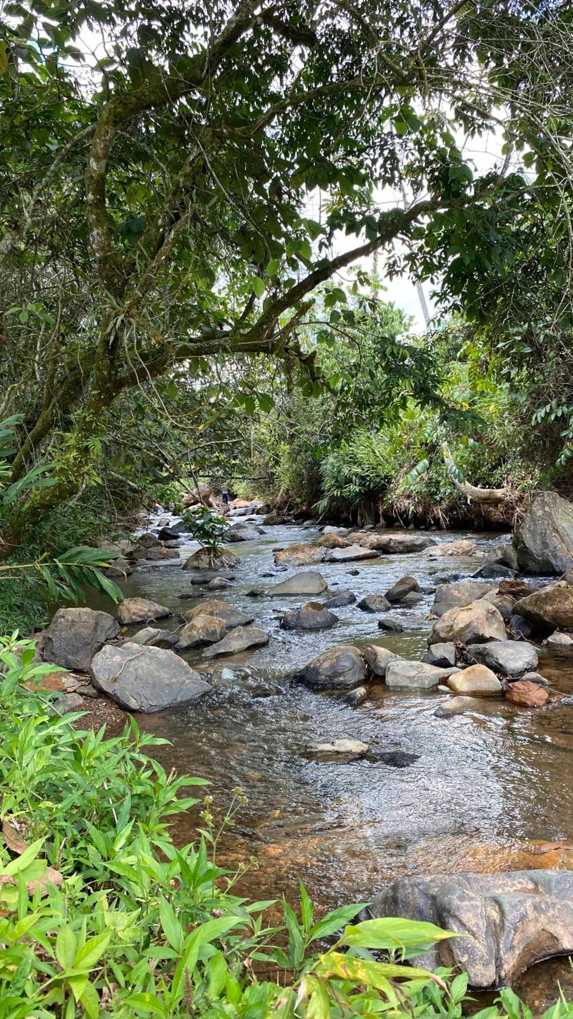 Efren Ecohotel Calima Exteriér fotografie